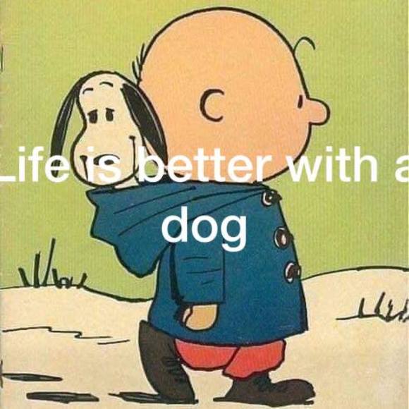 Profile Picture of Sherry Kolthoff (@jamkoltho) on Poshmark