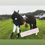 Profile Picture of Barbara Decker (@pferdvollwertvoll) on Instagram