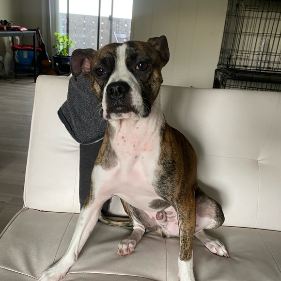 Profile Picture of Ivan Trejo (@infernalghost36) on Poshmark