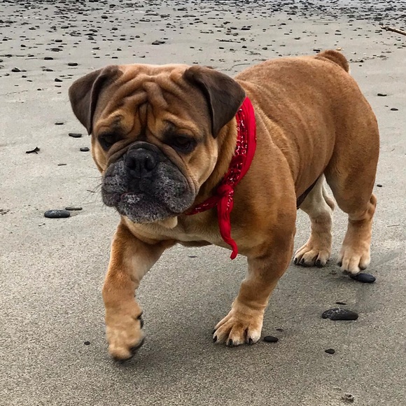 Profile Picture of Jonathan Thurston (@603granitelakes) on Poshmark