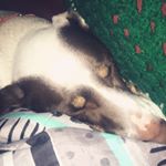 Profile Picture of Vivian (@_learning_to_save_) on Instagram