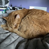 Profile Picture of Joe Brown (@joe-brown-401) on Quora