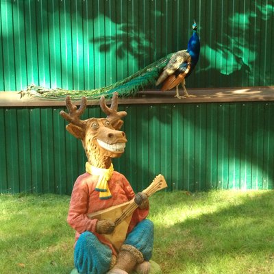 Profile Picture of Travis Downey (@restrings11) on Twitter