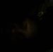 Profile Picture of James Souffrant (@james.souffrant.12) on Facebook