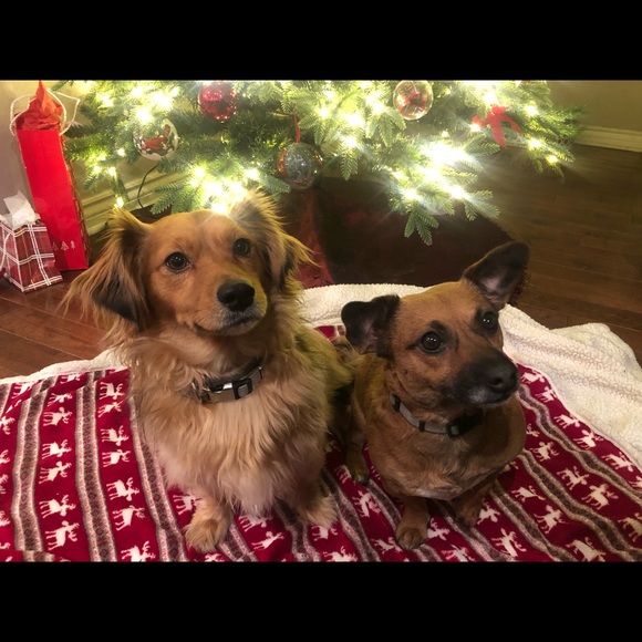 Profile Picture of Samantha Cinman (@s_cinman) on Poshmark