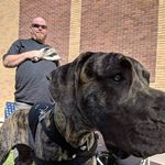 Profile Picture of Brad McMullen (@quibbley) on Instagram