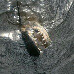 Profile Picture of Jimmy Rosamond (@jimmy_rosamond) on Instagram