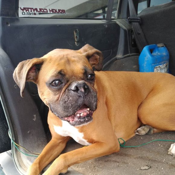 Profile Picture of Brian Brown (@beb104141) on Poshmark