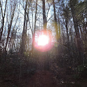 Profile Picture of Michael Thombs (@michaelthombs2856) on Youtube