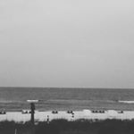 Profile Picture of Hailey Shrader (@hailey.shay.shrader) on Instagram