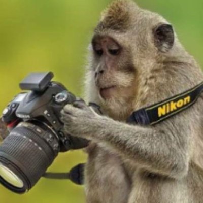 Profile Picture of Derek Chapman (@derekchapman9) on Twitter