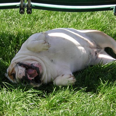 Profile Picture of Isabelle Boissezon (@isazouzou) on Twitter