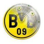 Profile Picture of Steve Heiliger (@stevebvb09) on Instagram