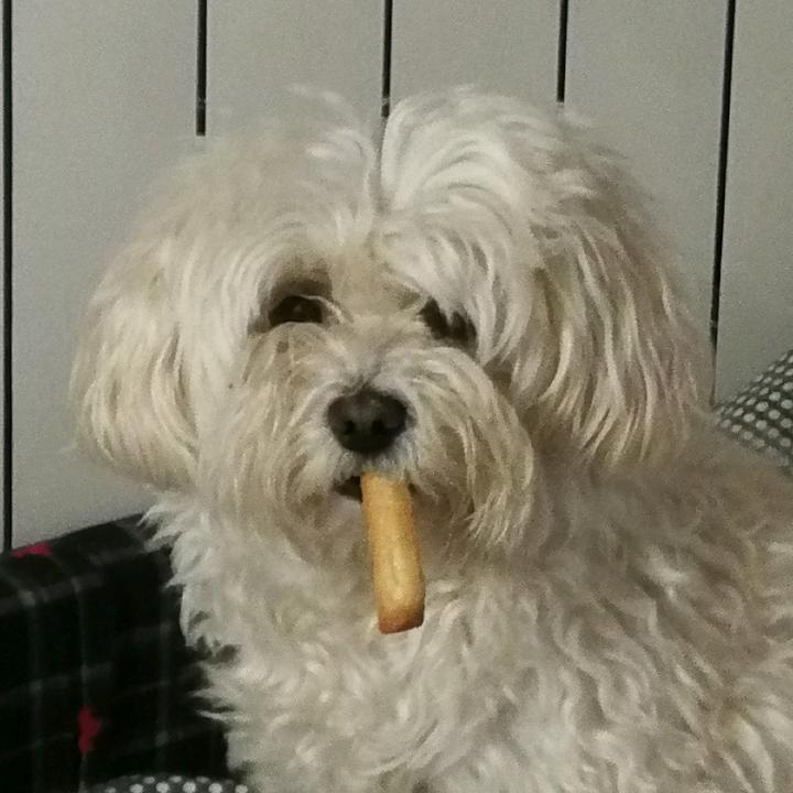 Profile Picture of Davide Zuelli (@davidzue) on Tiktok