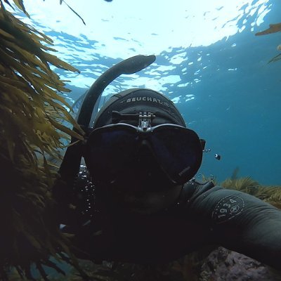 Profile Picture of Jace (@JASONsHARRIS) on Twitter