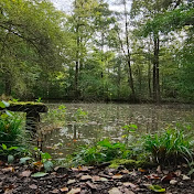 Profile Picture of Joseph Barba (@BeardedJosee76) on Youtube