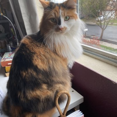 Profile Picture of Pat. Bryson (@PatBryson8) on Twitter