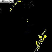 Profile Picture of Justinge4onrs (@justinge4onrs) on Youtube