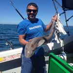 Profile Picture of Paul Capurso (@pcapurso22) on Instagram
