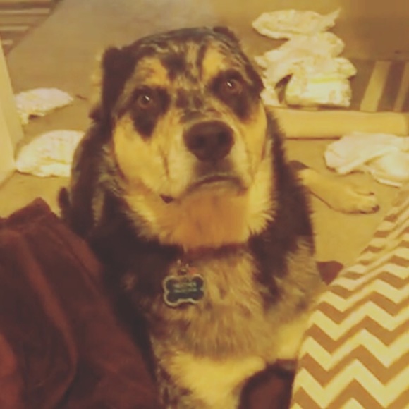 Profile Picture of Paul Randall (@prandall15) on Poshmark