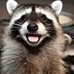 Profile Picture of Rocco Raccoon (@rocco.raccoon.7) on Facebook