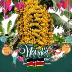 Profile Picture of Peter Dropper (@Peter-Dropper) on Facebook