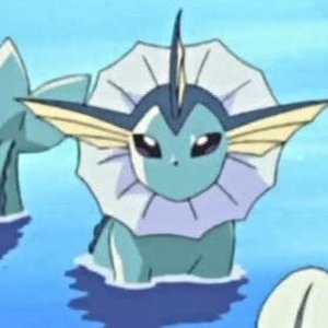 Profile Picture of 🐬 (@connor_capps) on Twitter