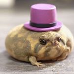 Profile Picture of Rex Hennings (@chaseburnes) on Instagram