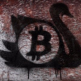 Profile Picture of Jon Connelly (@JonConnelly) on Twitter