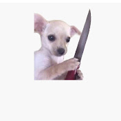 Profile Picture of Kim Lai (@KimLai-ys1zt) on Youtube