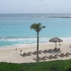 Profile Picture of Jeffery Wright (@user5141994790782) on Tiktok