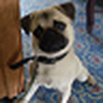 Profile Picture of Jos? Miguel Camilo del Orbe (@ReyKang) on Flickr