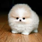 Profile Picture of Ксения (@bauterakofa_ksuha) on Instagram