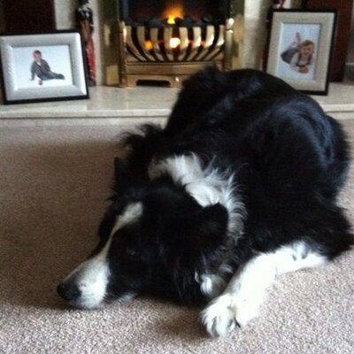 Profile Picture of Ian MacGregor (@garnkirk) on Twitter
