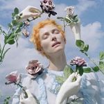 Profile Picture of Tim Walker Photography Fans (@timwalkerfans) on Instagram