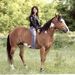 Profile Picture of Mary Kay Tandlmayer (@marykaytandy) on Pinterest