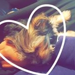 Profile Picture of Chloe Bell Claussen (@chloe.claus) on Instagram