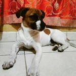 Profile Picture of Scott Chumpitaz Clemente (@scott_2708) on Instagram