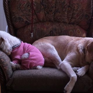 Profile Picture of Nancy Olstad Rosenberg (@nancy.o.rosenberg) on Facebook