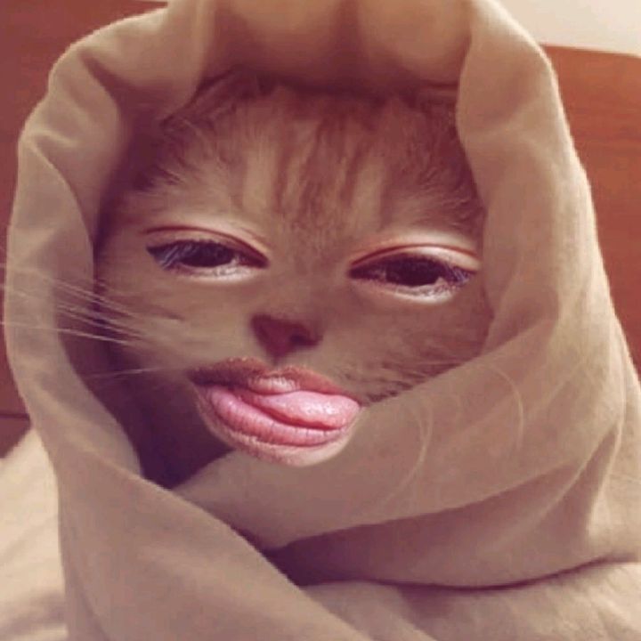 Profile Picture of markrabin (@markrabin6) on Tiktok