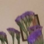 Profile Picture of Nancy Bowen (@nancy.bowen.73345) on Instagram