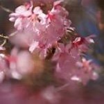 Profile Picture of Kim Darnell (@kimhendricksdarnell) on Instagram