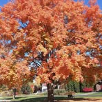 Profile Picture of Robin Sauve (@robin.sauve1) on Facebook