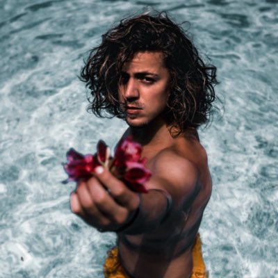 Profile Picture of Matt Vidal (@MVidal_7) on Twitter
