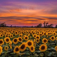 Profile Picture of Calla Johnson (@calla-johnson-5) on Quora