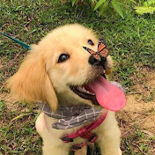 Daniel Noh - Youtube Profile Picture of Daniel Noh (@danielnoh1865) on Youtube