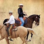 Profile Picture of David Mellor Horsemanship (@mellor999) on Instagram