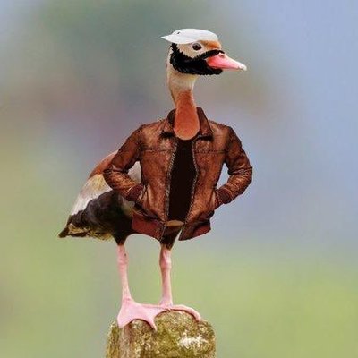 Profile Picture of Ed Rogel (@RogelEd) on Twitter