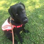 Profile Picture of Kim O'Malley (@kikimeew) on Instagram