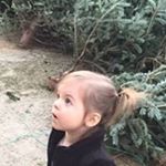 Profile Picture of Pam Weeks (@pam.weeks) on Instagram